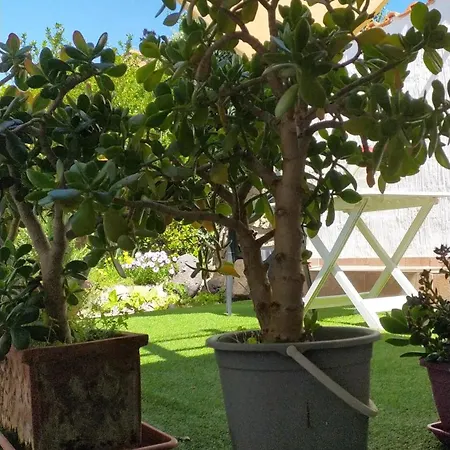Antica Holiday home Gergei